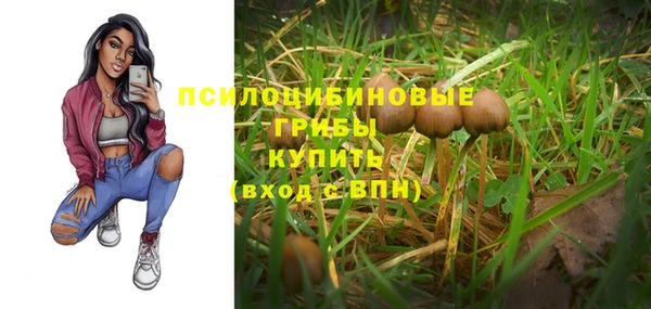молекула духа Алексин