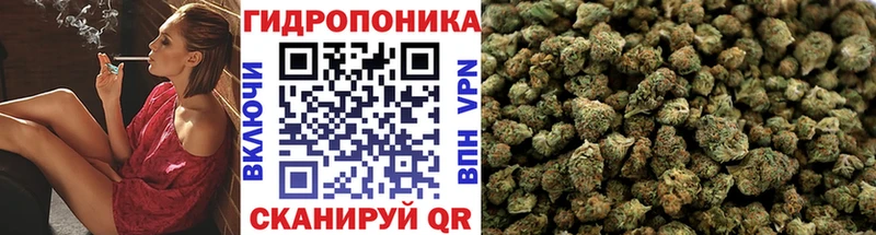 блэк спрут ССЫЛКА Калтан Канабис тримм